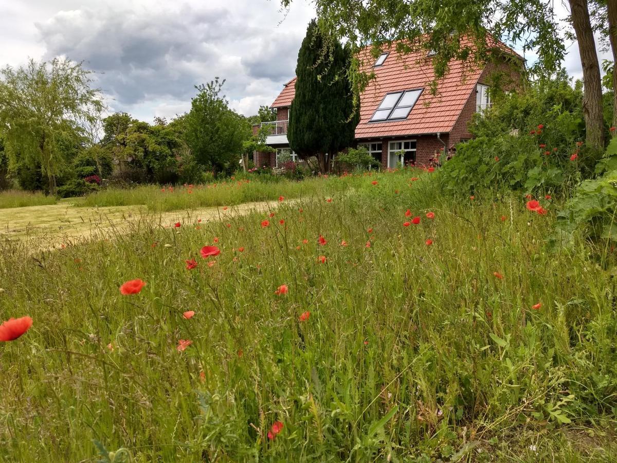 Haus Rosengarten- Ruhige Ferienwohnungen Im Gruenen Sehlen Екстериор снимка